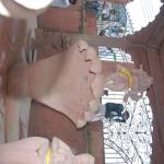 Vraj-Yatra-2014- (1114)